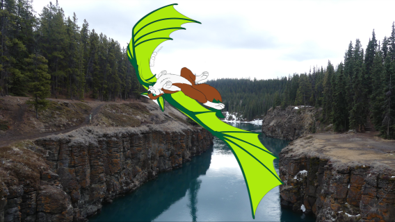 Techno barrel roll by felix